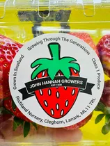 John Hannah Strawberries  category