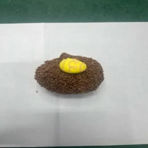 Chocolate Easter Scotch Egg