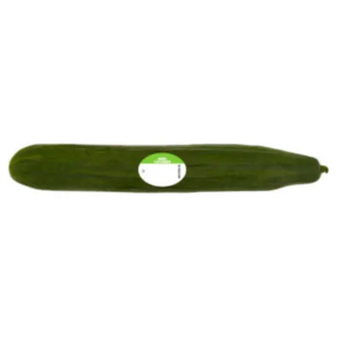 Cucumber