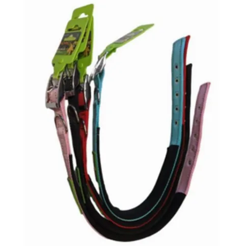 Pets That Play Dog Collar 2.5cm x 60cm