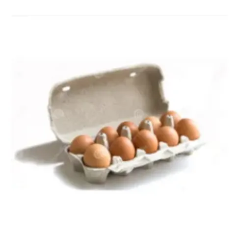 Farmer Forrest Eggs 10 Pack