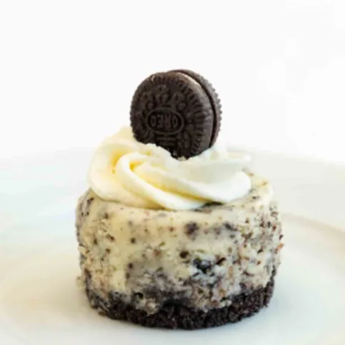 Ferns Cake - Oreo Cheesecake