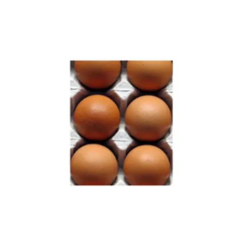 Fields Farm Eggs medium 