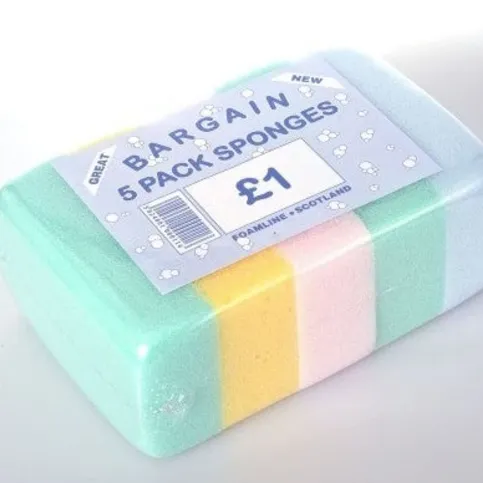 Foamline 5 Pack Sponges PM£1