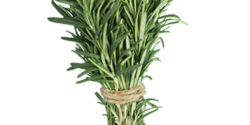 Fresh Dill