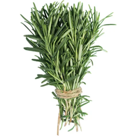 Fresh Rosemary