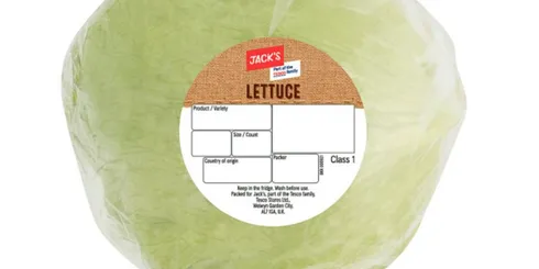 Jack's Iceberg Lettuce Single
