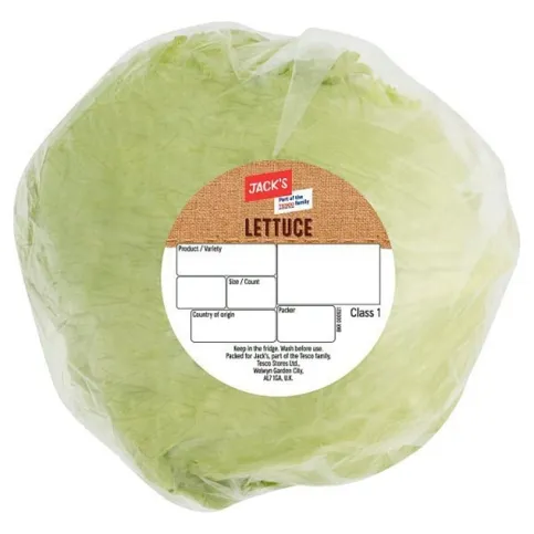 Tesco Iceburg Lettuce