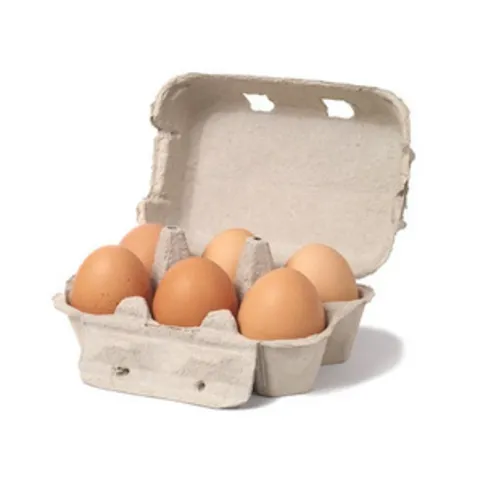 Large Eggs 6 Pack
