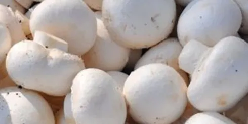 Mushrooms Loose - 250g