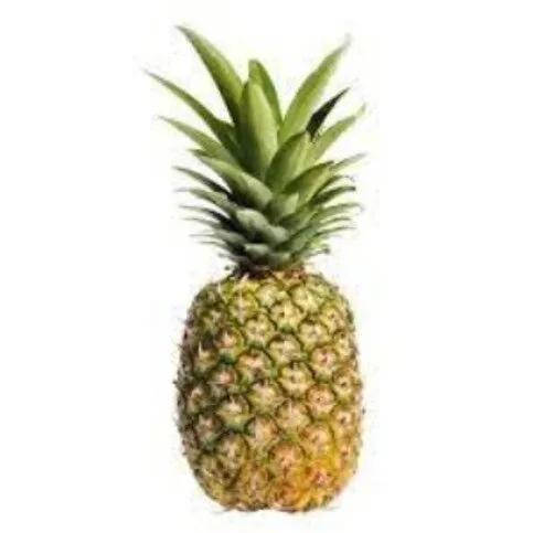 Spar Loose Pineapple