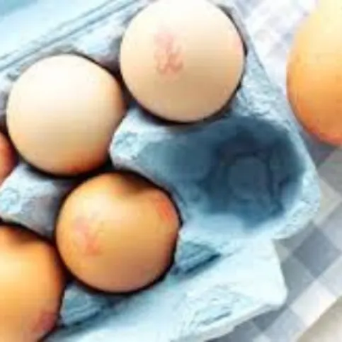 Eggs Free Range