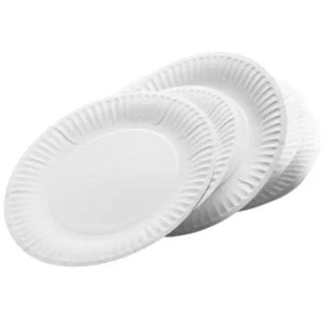 Paper Plates 100 Pack