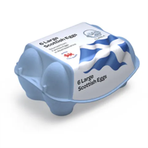 CHILLED: SPAR VALUE LARGE EGGS 6PK