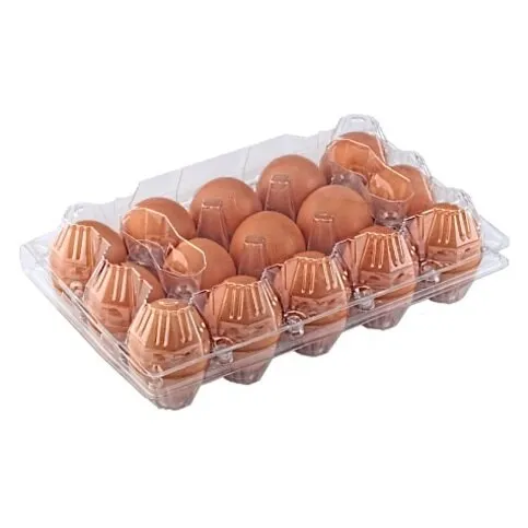 Eggs 15 Pack