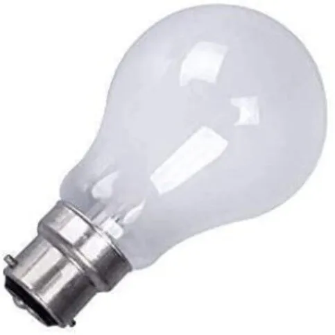 Everyday Bulb 40w
