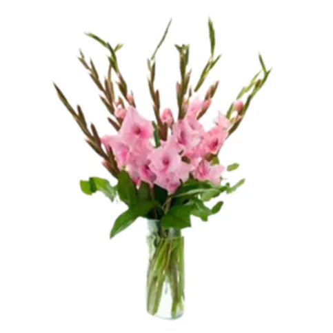 Co-op Gladioli Bouquet Each