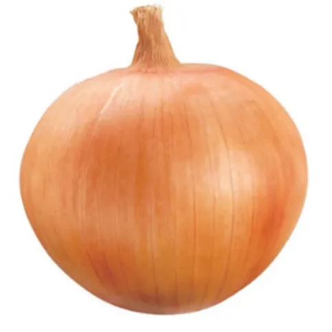 Onion 3pack