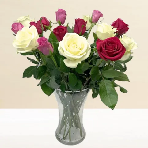 Pastel Roses