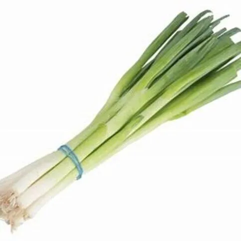 Spring Onion