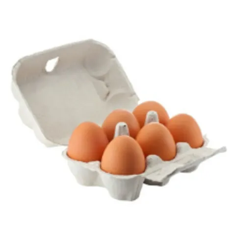 10 Fresh Eggs